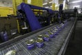 Production of canned fish. Canned fish on a conveyor belt.