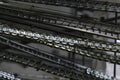 Production of canned fish. Canned fish on a conveyor belt.