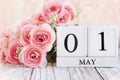 May 1st Calendar Blocks with Pink Ranunculus Royalty Free Stock Photo