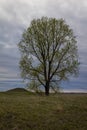 MAY 19,2019 STANDING ROCK RESERVATION N DAKOTA Lone tree and Indian Mound on Standing Rock Indian Reservation, Fort Yates, North