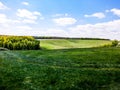 May hilly meadow and forest