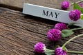 May text on white wood block and globe amaranth flowers on old wooden background. Royalty Free Stock Photo