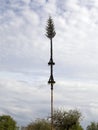 May tree 1 May tradition in germany Royalty Free Stock Photo