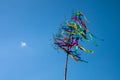 May tree, traditional hungarian austrian german folklore decoration in may with blue sky