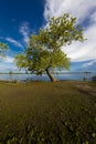 MAY 18 2019, USA State Park campsite  on Missouri River Weston Bend State Park in Rushville, Platte County, Missouri Royalty Free Stock Photo