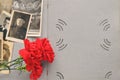 May 9 Victory day card. Red carnations and St. George ribbon on the background of an old photo album with military photos. Day of