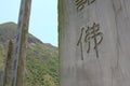 Wisdom Path Ngong Ping 2 may 2009