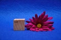 May on a wooden block with a purple daisy Royalty Free Stock Photo
