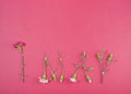 1 May Word made of flowers on pink background