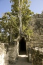 Maya Coba ruins Royalty Free Stock Photo