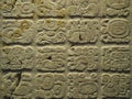 Maya hieroglyphs on a stone stelae wall, part of a temple. Metropolitan Museum, New York, Royalty Free Stock Photo