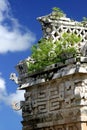 Maya Ruins Royalty Free Stock Photo