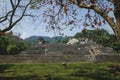 Maya temple ruins with palace and observation tower under orange blossoms, Palanque, Chiapas, Mexico Royalty Free Stock Photo