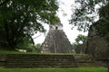 Maya Temple at Tikal, in the Guatemalan Jungle