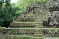 Maya Temple In Tropical Forest Royalty Free Stock Photo