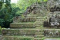 Maya Temple In Tropical Forest