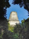 Maya temples of gran plaza or plaza mayor at tikal national park Royalty Free Stock Photo