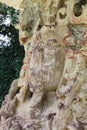 Mayan archeological site of Copan, Honduras: close view of Stela D (736 AC). UNESCO World Heritage