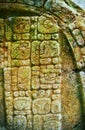 Mayan glyphs Royalty Free Stock Photo