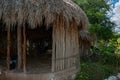 Mayan hut in tropical jungle