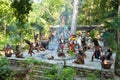 Mayan performance in the jungle