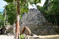 Mayan pyramide in Coba, Mexico Royalty Free Stock Photo