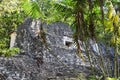 Mayan Pyramids in the Jungle forest of Peten, Guatemala