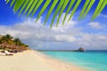 Mayan Riviera beach palm trees sunroof Caribbean