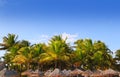 Mayan riviera tropical sunroof palm trees blue sky Royalty Free Stock Photo