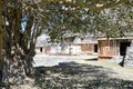 Mayan Royal Palace ruin in archaeological site of Labna, Yucatan, Mexico