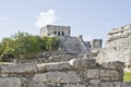 Mayan ruin in Tulum Royalty Free Stock Photo