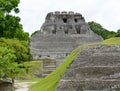 The Mayan Ruins in Belize Royalty Free Stock Photo