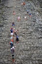 Mayan ruins in Coba, Mexico