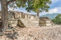 The Mayan ruins in Copan Ruinas, Honduras Royalty Free Stock Photo