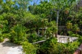 Mayan ruins in jungle tropical forest, Playa del Carmen, Riviera Maya, Yu atan, Mexico Royalty Free Stock Photo