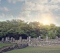 Mayan Ruins in San Gervasio,Cozumel, Mexico.The Palace Structure Royalty Free Stock Photo