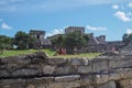 Iguanas in the old mayan site in Tulum, Quintana Roo, Mexico