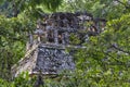 Mayan sacred ruins in deep jungle
