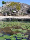 Mayan Sacred Water