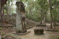 Calakmul maya ruins in Mexico