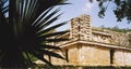 Mayan temple mexico Royalty Free Stock Photo