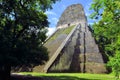 Mayan temple Nr five in Tikal, Guatemala
