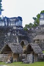 Maya temples of gran plaza or plaza mayor at tikal national park Royalty Free Stock Photo