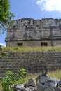 Mayan temples and iguane