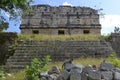 Mayan temples and iguane