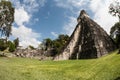 Mayan Temples in Jungle