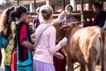 Mayapur, West Bengal, India - February 7, 2020. multinational group of teenage girls on a field trip to the Indian cow farm Royalty Free Stock Photo