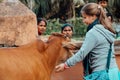 Mayapur, West Bengal, India - February 7, 2020. multinational group of teenage girls on a field trip to the Indian cow farm