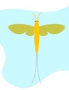 Mayfly Insect Clipart Vector