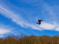 Walking on a motor hang glider along the bed of a mountain river on an autumn sunny day, an unforgettable experience.++